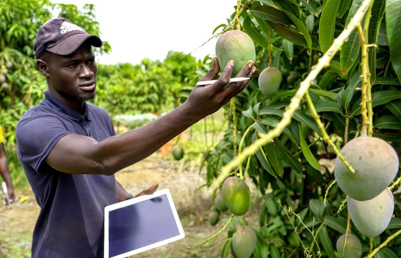 360 Food Safety Manager
