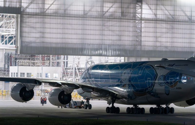Airframe & Powerplant (A&P) Inspection Authorization (IA)