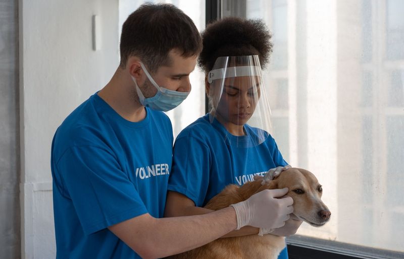 Animal Behavior College (ABC) Externship