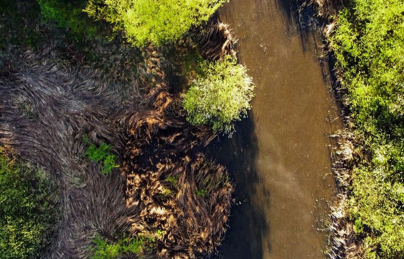 AICE Environmental Case Studies Practice Exam course image