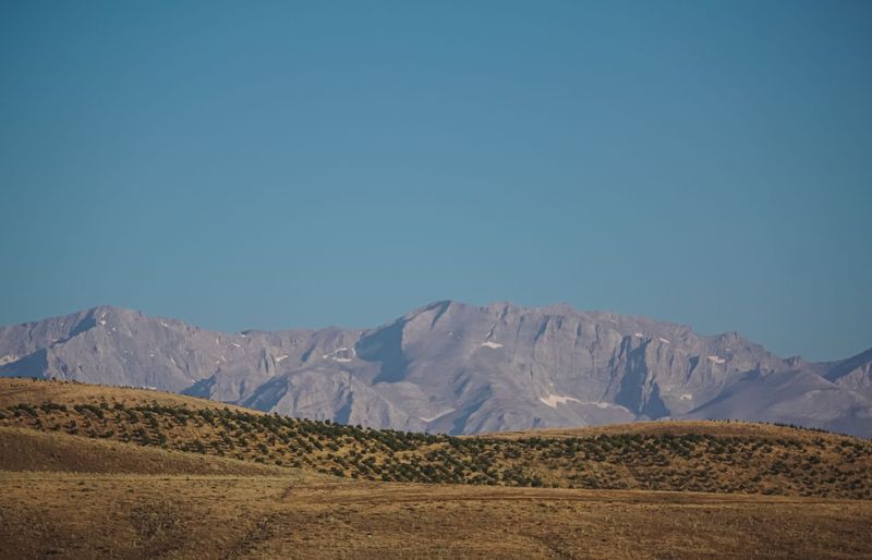 Alberta Grade 7 Social Studies Practice Test course image