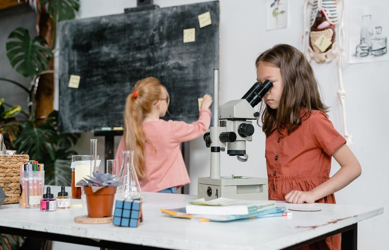 Examzify course visual