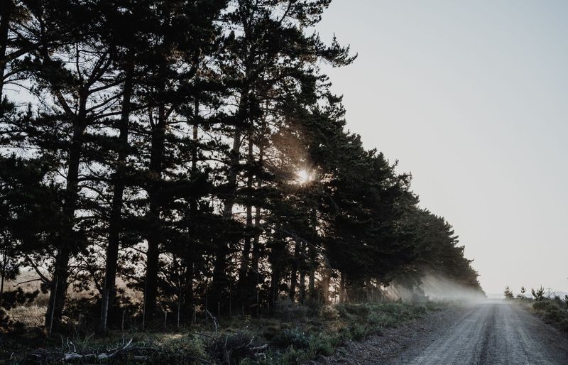 Alabama Forestry Works Practice Test course image