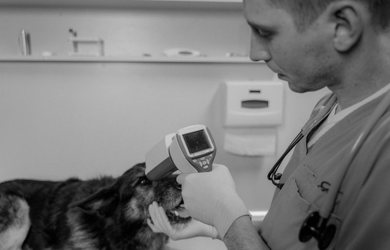 Companion Animal Parasite Council (CAPC) Practice Exam course image