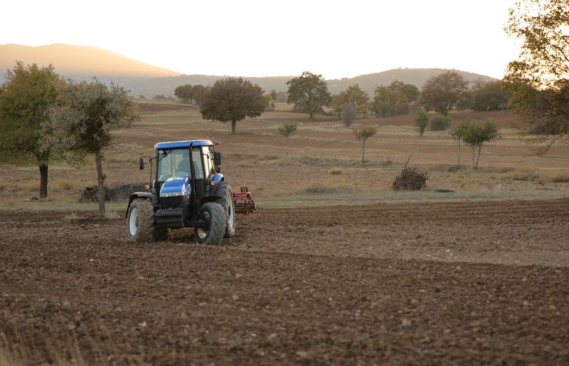 Area 1 Mechanization