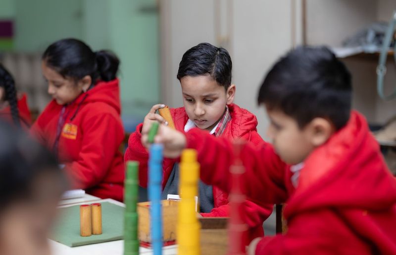 Assessment of Professional Knowledge Elementary