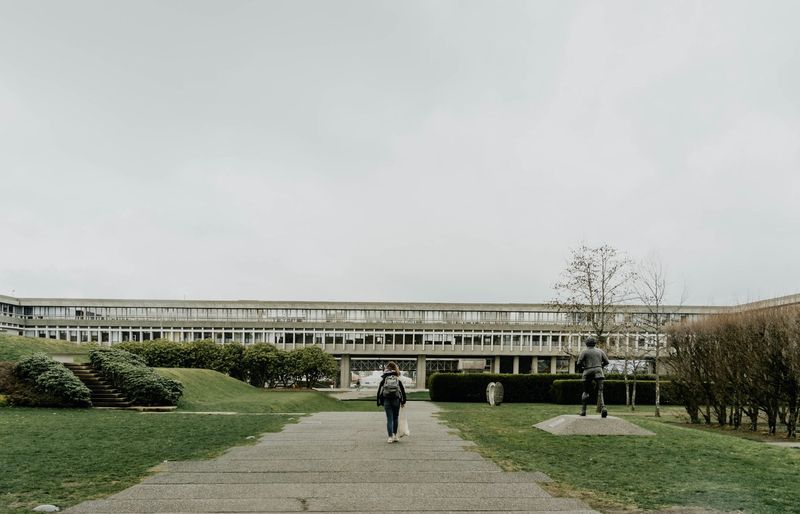 Examzify course visual
