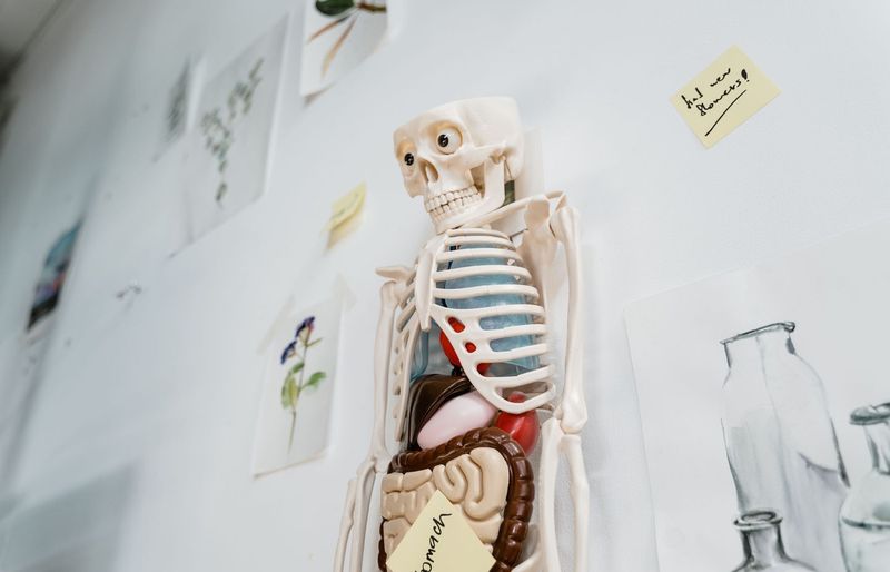 Examzify course visual