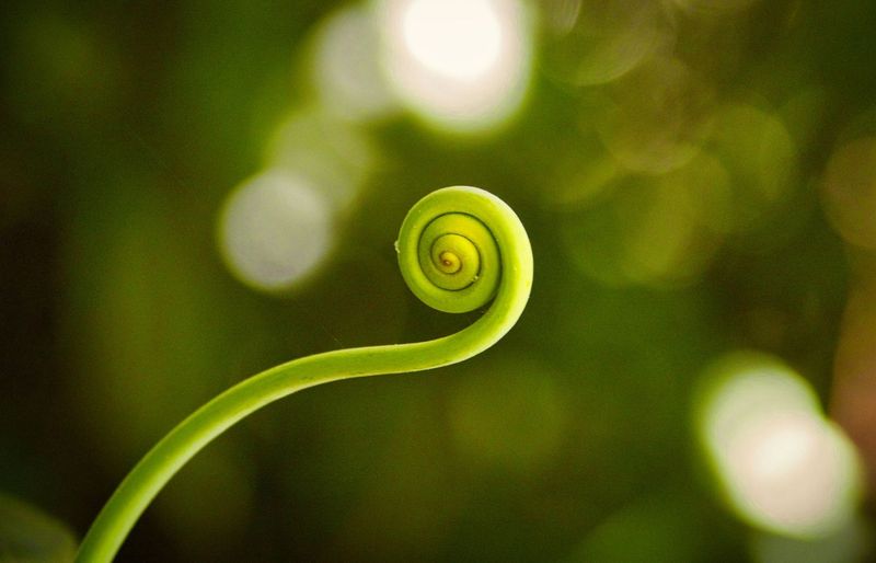 Biotechnology and Genetic Engineering Practice Test course image