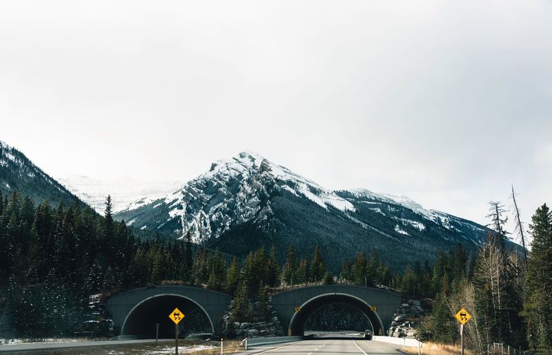 Canadian Border Security (CBSA) Practice Exam course image