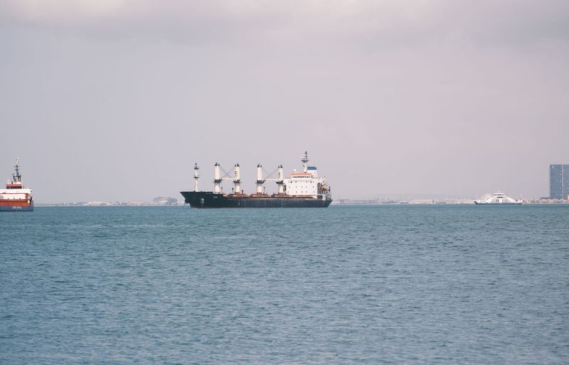Cargo Operations Sea Year