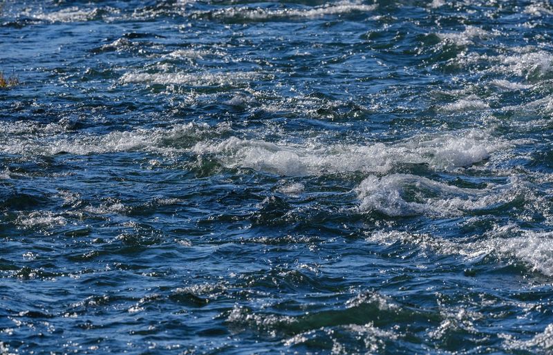 Clean Water Act Practice Test course image