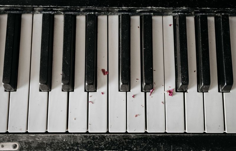 Certificate of Merit (CM) Piano Theory Level 9 Practice Test course image