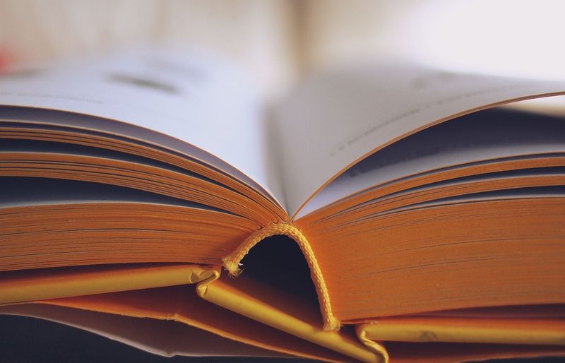 Comprehensive Literary and Nonfiction Skills for Students Practice Test course image