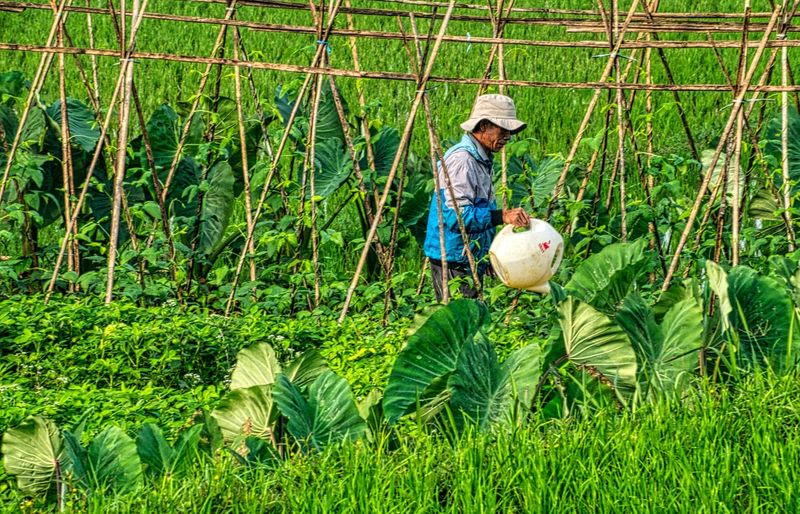 Iowa DOA CORE Pesticide Applicator's License