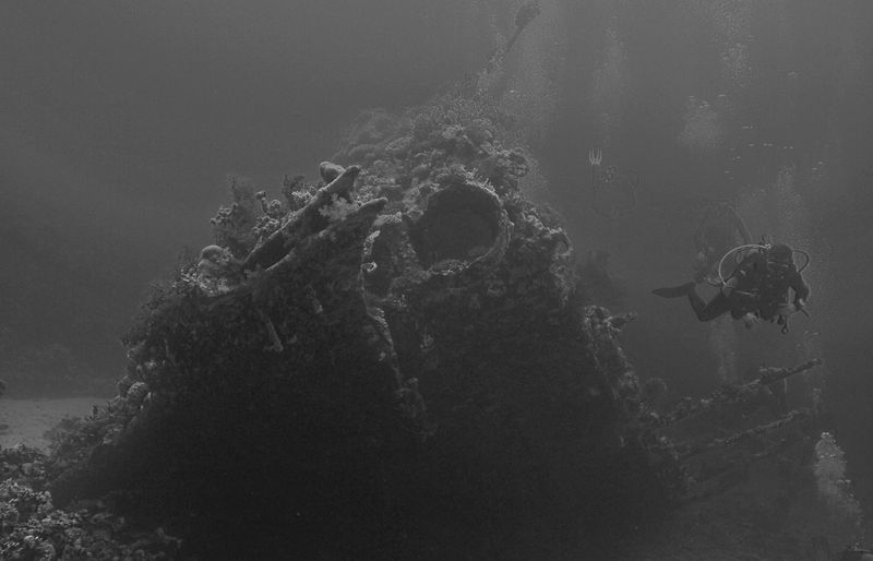 Diving First Aid for Professional Divers Practice Test course image
