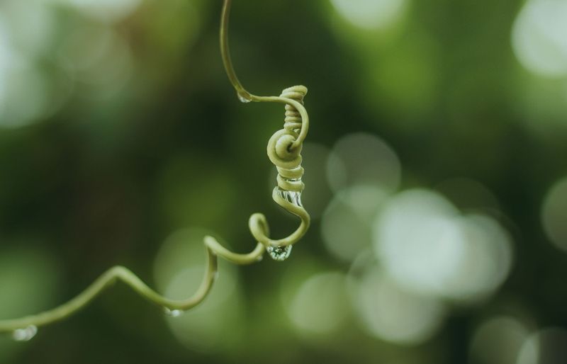 DNA and Gene Expression