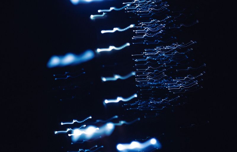 DNA History, Replication, and Protein Synthesis Practice Test course image