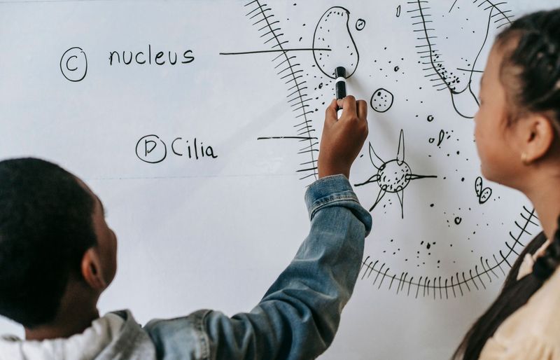 2026 Dual Enrollment Physical Science Midterm Practice Test – Comprehensive Exam Prep course image