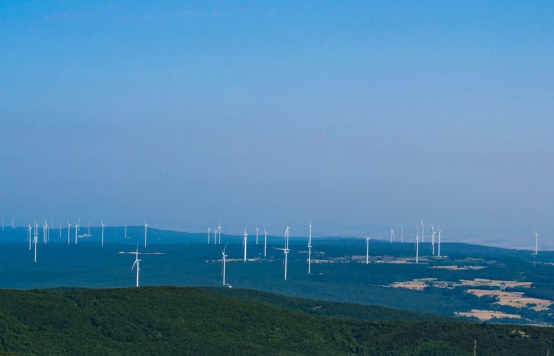 Economics and Environmental Conservation