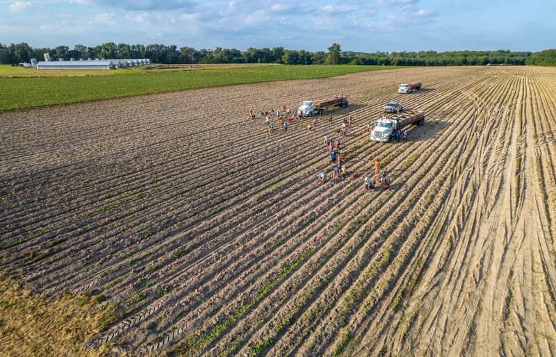 FFA Greenhand MoTown Practice Test course image