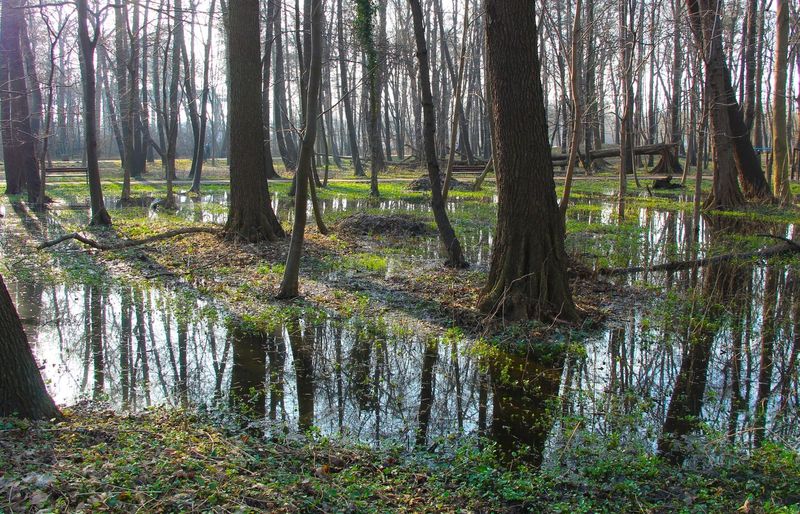 FEMA 480 NFIP Floodplain Management Requirements