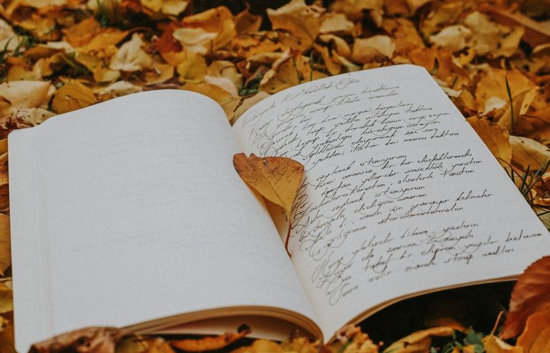 Figurative Language Practice Practice Test course image