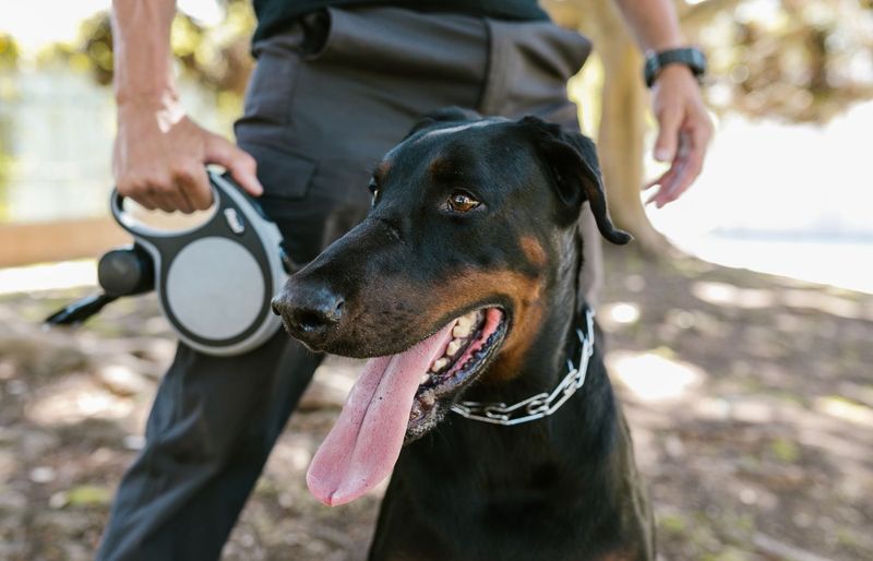 Florida Animal Control Officer Certification Practice Test 2026 – Complete Exam Prep course image