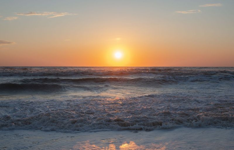 Florida NBCE Practice Exam 2026 - Free Chiropractic Exam Practice Questions and Study Guide course image