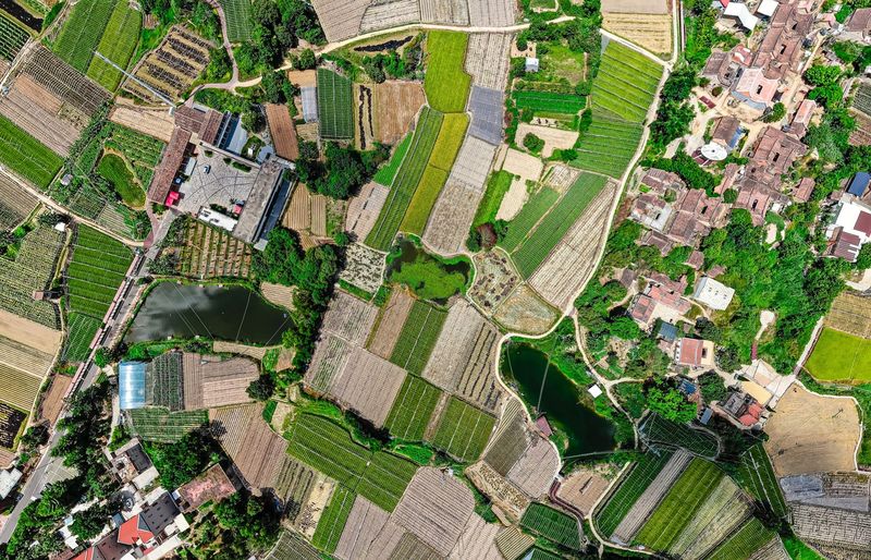 Geospatial Intelligence (GEOINT) Fundamentals Practice Exam course image