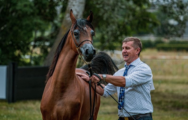 Hippotherapy Clinical Specialist Practice Exam course image