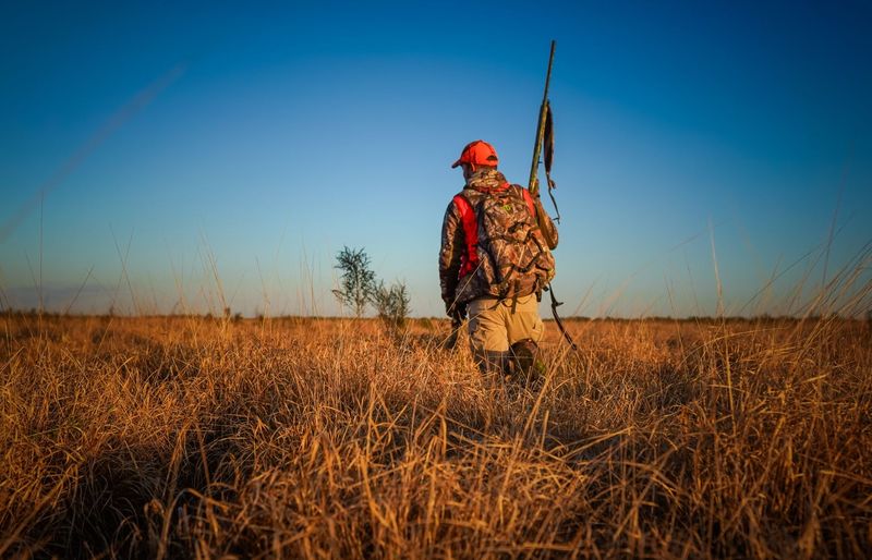Hunter Education Moss 2 Practice Test course image