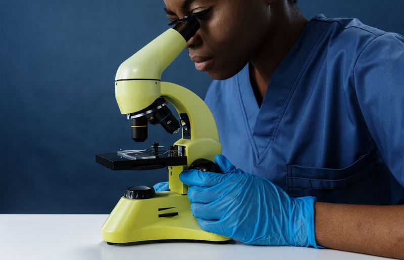 IB Diploma Biology Practice Test 2026 – Your All-in-One Resource for Exam Success! course image