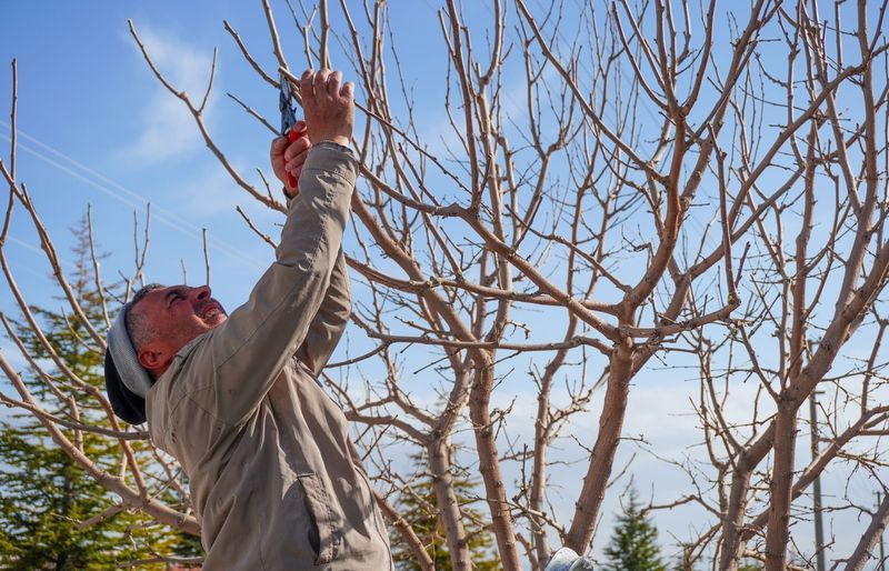 IBEW Journeyman Tree Trimmer Practice Test course image