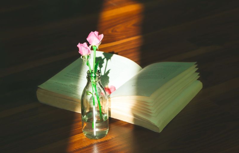 IGCSE English Literature Practice Test course image