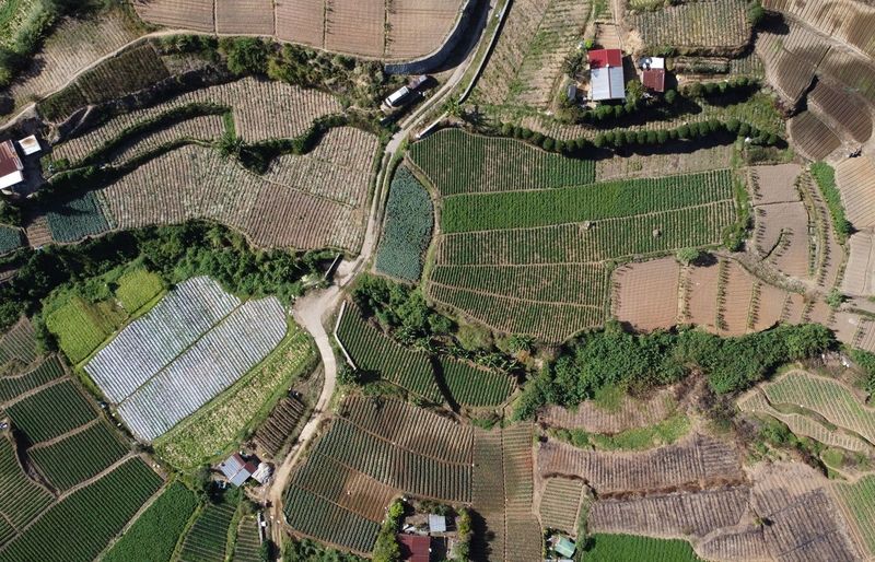 IGCSE Geography Agricultural Systems Practice Test course image