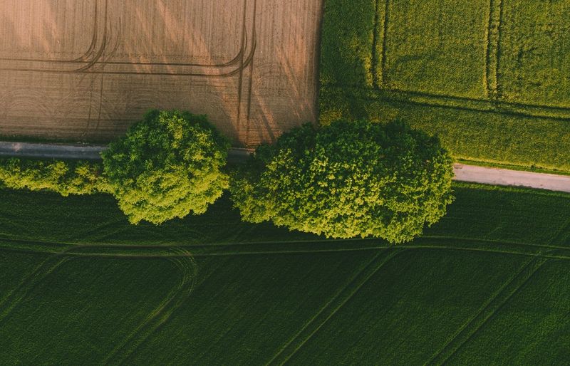 Illinois PAS Crop Specialist Practice Test 2026 – Your All-in-One Guide to Exam Success! course image