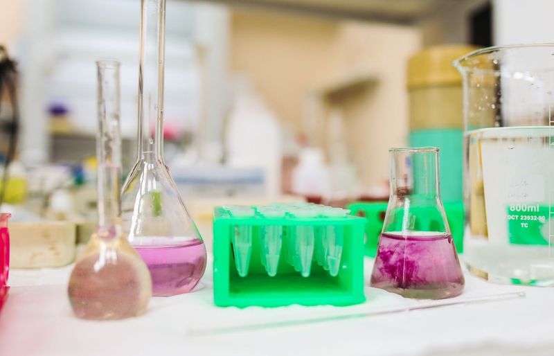 Master the Microbe Challenge 2026 – Ace Your Infection and Response Exam! course image
