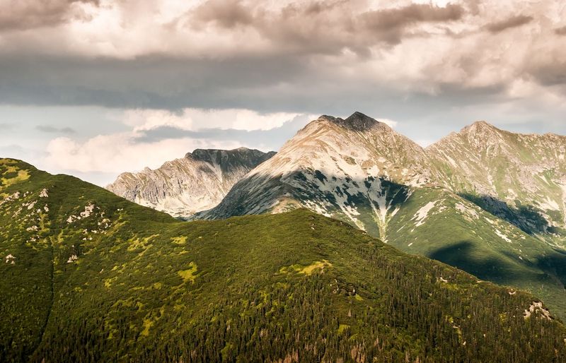 Into the Wild Practice Test 2026 - Free Practice Questions and Study Guide course image