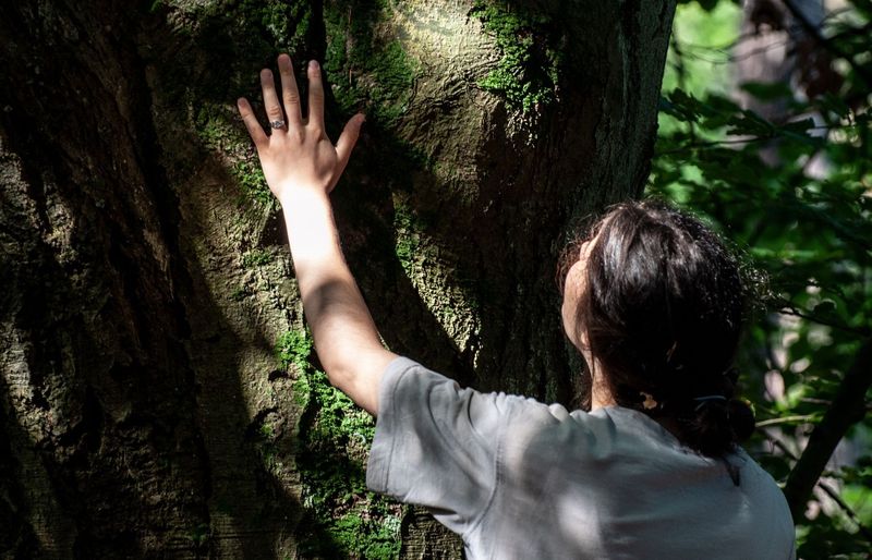 ISA Municipal Arborist Practice Exam course image