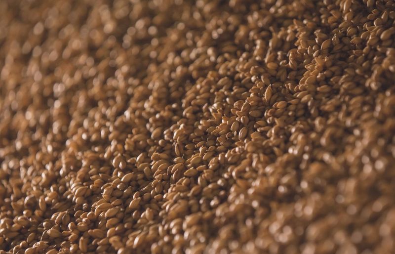 ISDA Seed Treatment Practice Test course image