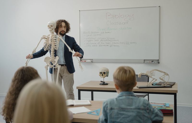 Ivy Tech APHY 101 – Skeletal System