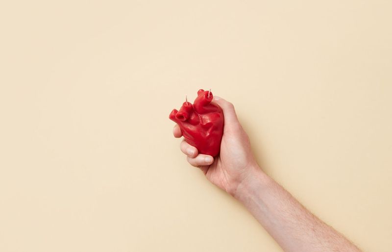 Ivy Tech Anatomy and Physiology II (APHY 102) Heart