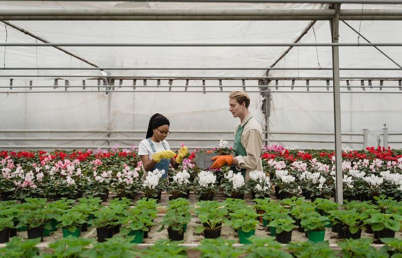 Junior High Agriculture Practice Test course image