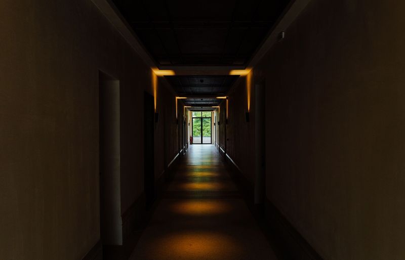 Examzify course visual