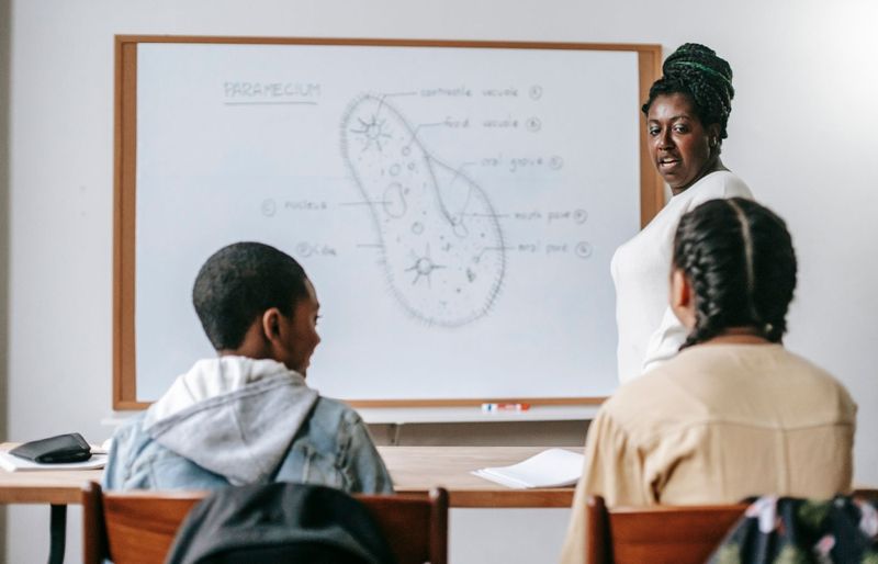 Examzify course visual