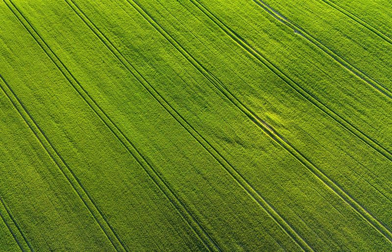 Kansas Pesticide 3B