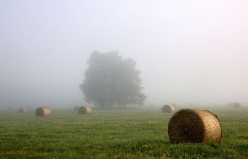 Kentucky Pesticide Laws and Regulations