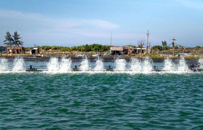 Kentucky Wastewater Treatment Operator Certification Practice Exam 2026 – Your All-in-One Guide to Certification Success! course image