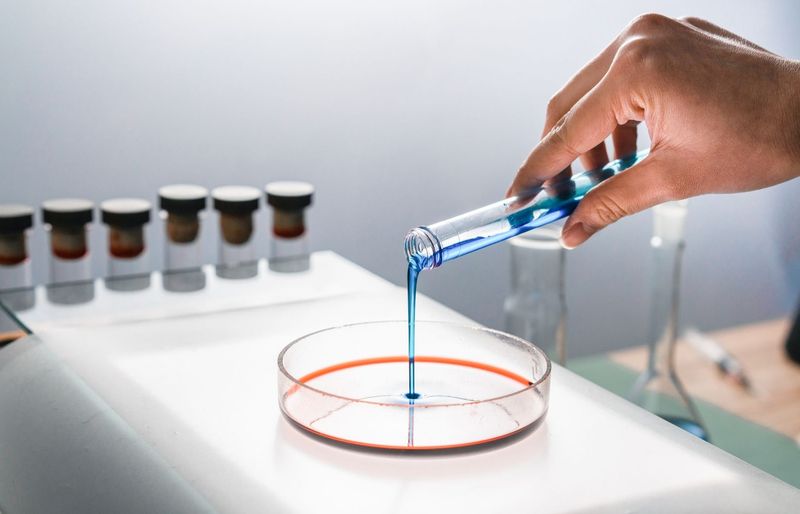 Microbial Growth Phases, Oxygen Needs, and Immunity Types Practice Test course image